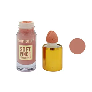 رژگونه مایع ترکیبی مینی استار مدل soft pinch شماره 4