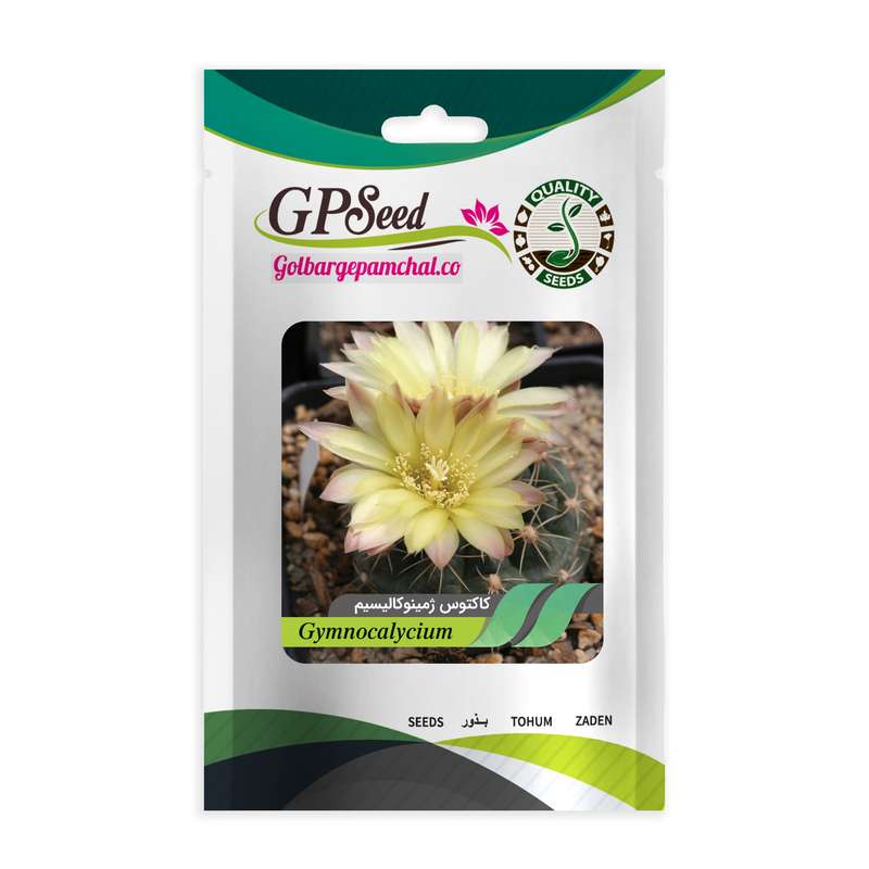 بذر کاکتوس ژمینو کالیسیم جی پی سید مدل GP28624 بذر کاکتوس ژمینو کالیسیم جی پی سید مدل GP28624