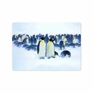 MAHOOT Penguin Cover Sticker for Apple iPad 9.7 GEN 5 2017 A1822