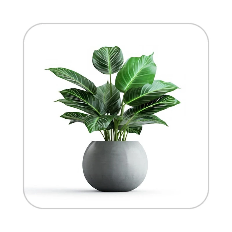 زیر لیوانی کاکتی طرح گل مدل mp17106