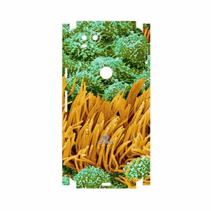 MAHOOT Atom Universe 6-FullSkin Cover Sticker for Google Pixel 2
