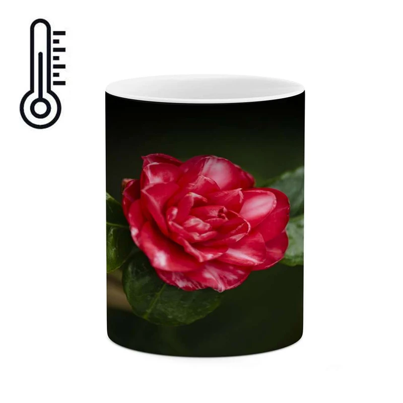 ماگ حرارتی کاکتی مدل گل کد mgh17453