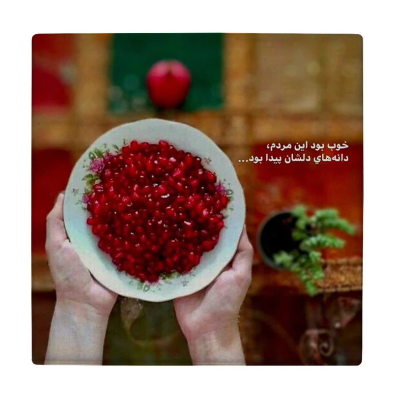  زیر لیوانی طرح بشقاب دانه های انار کد    4072023_2724