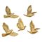 آنباکس دیوارکوب طرح کبوتر مجموعه 5 عددی توسط یاسمن سیدارونقی در تاریخ ۰۶ مهر ۱۴۰۲