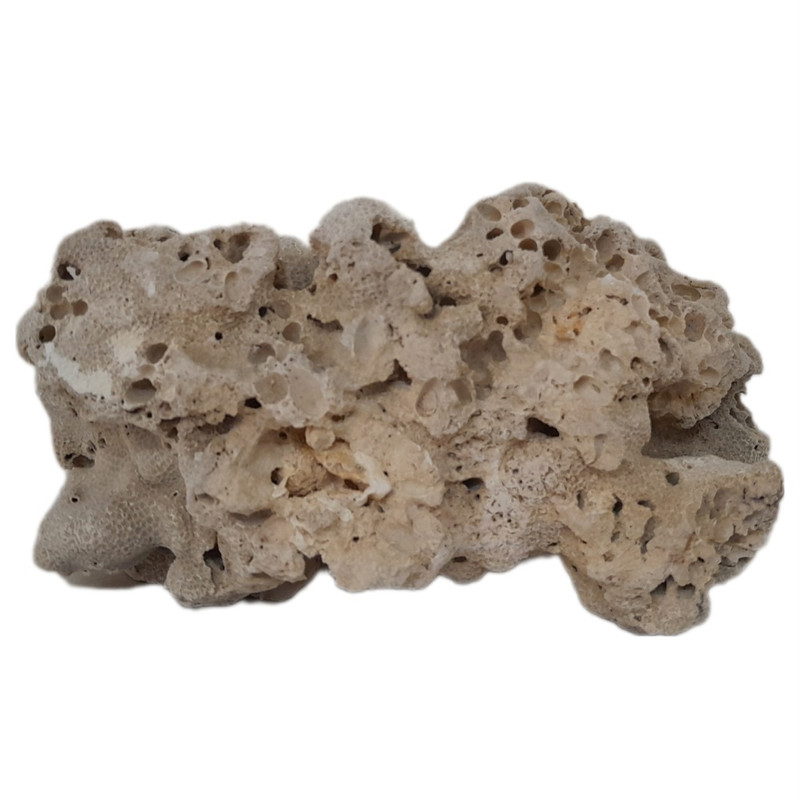 سنگ راف مدل مرجان کد 001