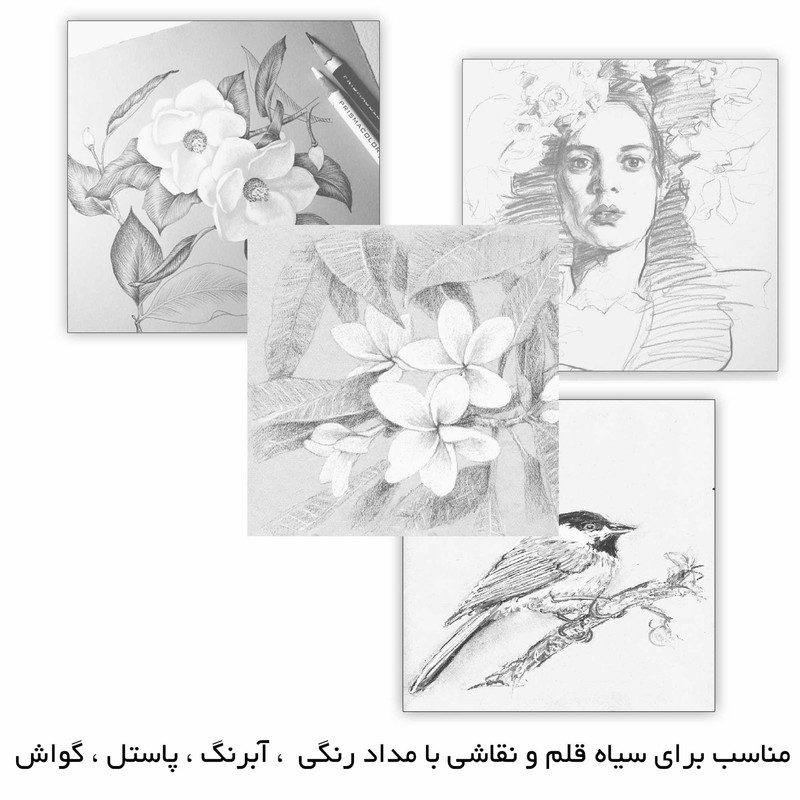 مقوا مستر راد مدل فلش کارت مکس کد max 1666 سایز 9.5x9.5 سانتی‌متر بسته 100 عددی