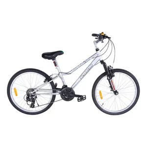 دوچرخه کوهستان آساک مدل کسرا کد C-306-5242104 سایز طوقه 24 اینچ