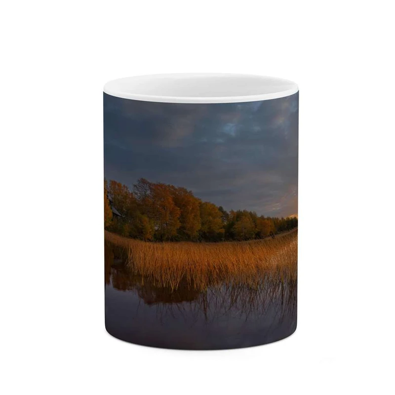 ماگ کاکتی مدل منظره کد mgh14376