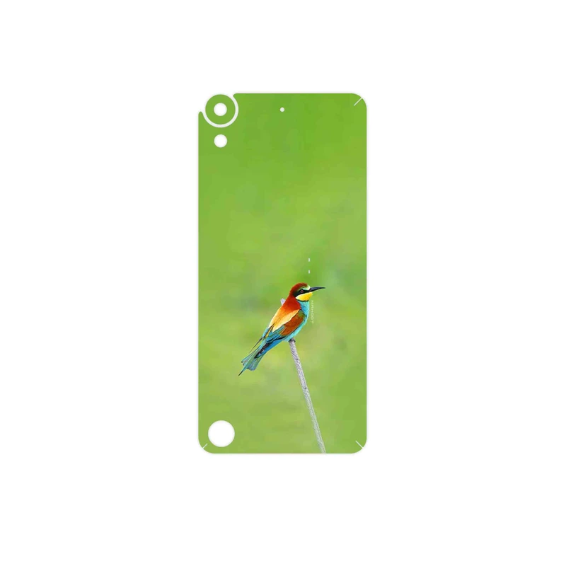 برچسب پوششی ماهوت مدل European bee-eater مناسب برای گوشی موبایل اچ تی سی Desire 530