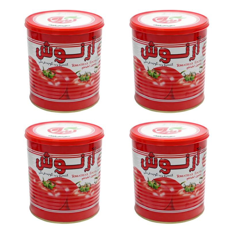 کنسرو رب گوجه فرنگی آرنوش - 800 گرم بسته 4 عددی