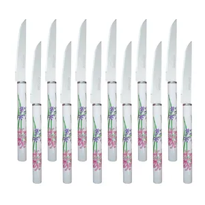 چاقو میوه خوری زولینگن کد SOL4 بسته 12 عددی