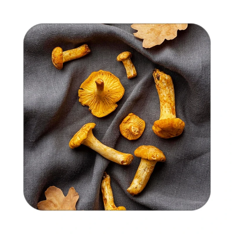 زیر لیوانی کاکتی طرح میوه مدل mp19870