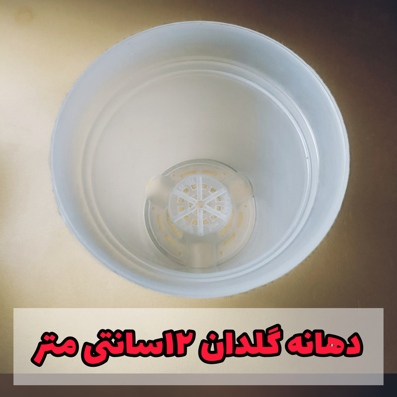 گلدان مدل شفاف ارکیده کد 12 بسته 6 عددی