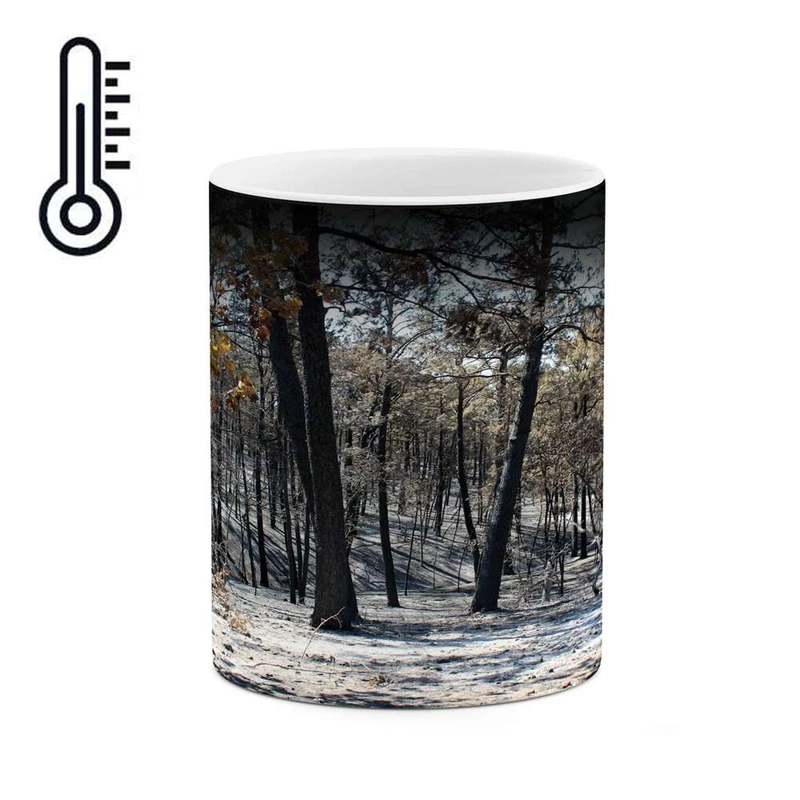 ماگ حرارتی کاکتی مدل منظره کد mgh17745