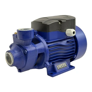 پمپ آب نیم اسب بخار دلیکس کد rkm-60