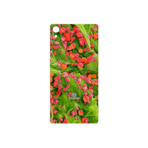 MAHOOT Atom Universe 3 Cover Sticker for Sony Xperia Z2