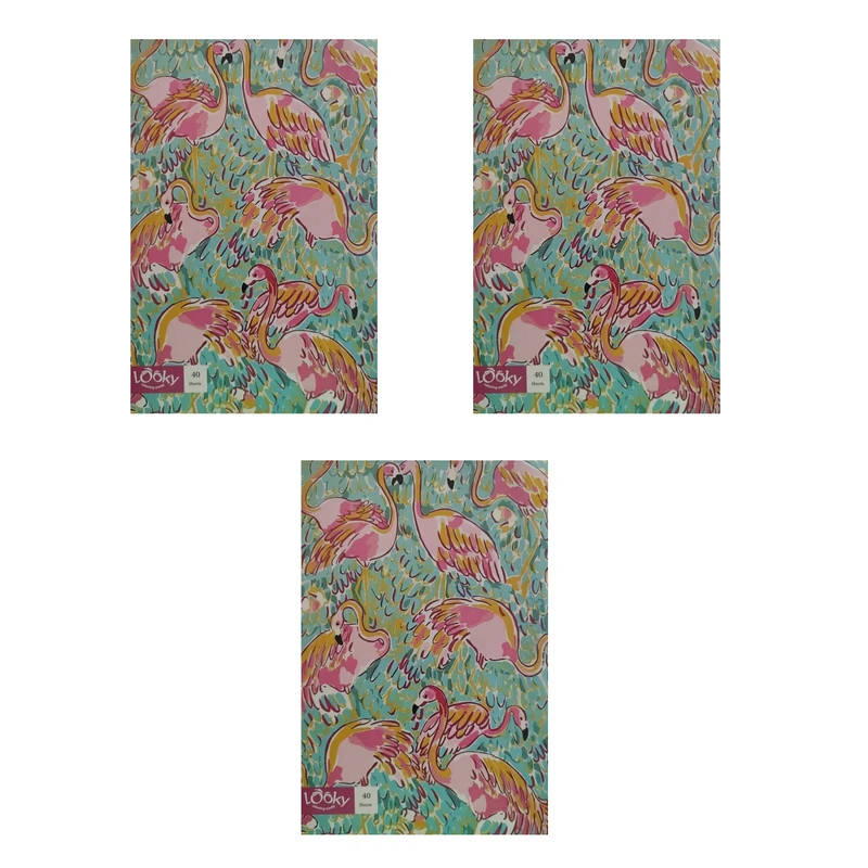 دفتر مشق 40 برگ لوکی مدل منگنه طرح پرنده کد 007 بسته 3 عددی