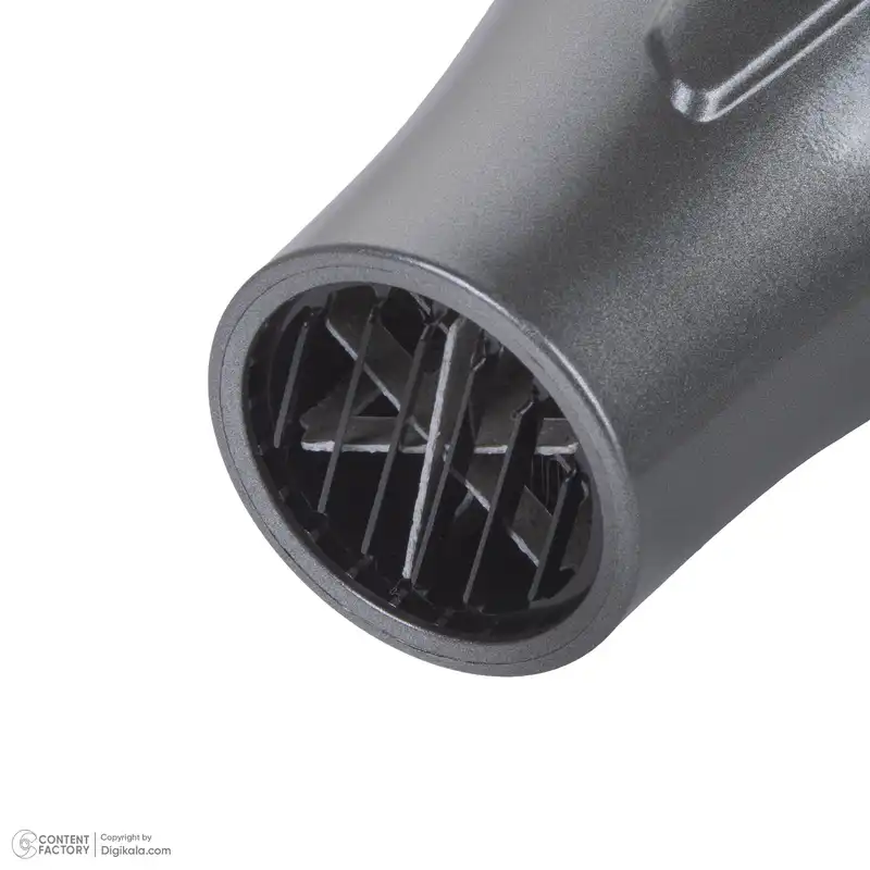 سشوار حرفه ای لیز مدل EXTREME