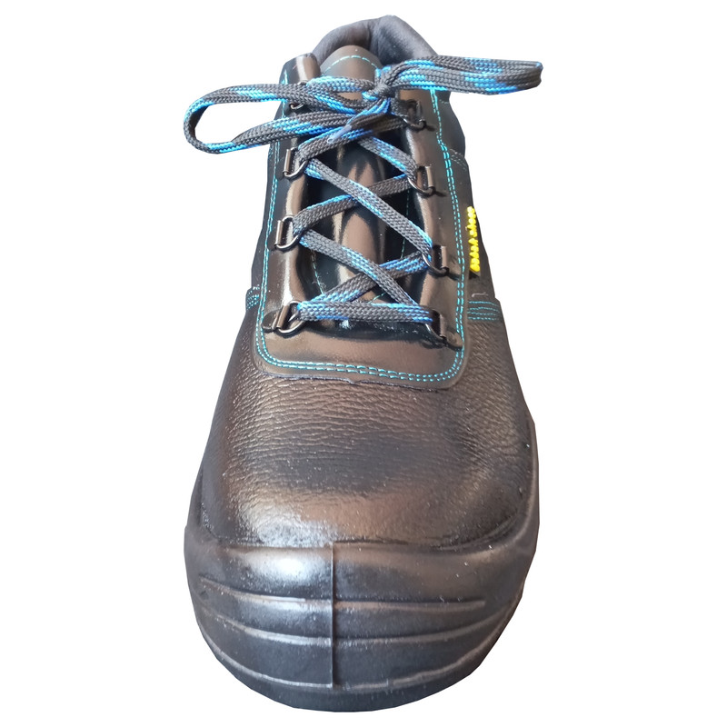 پوتین ایمنی مدل دثار پوتین ایمنی مدل دثار