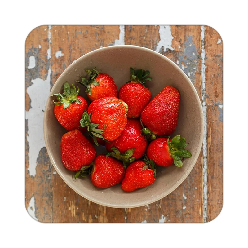 زیر لیوانی کاکتی طرح میوه مدل mp20579