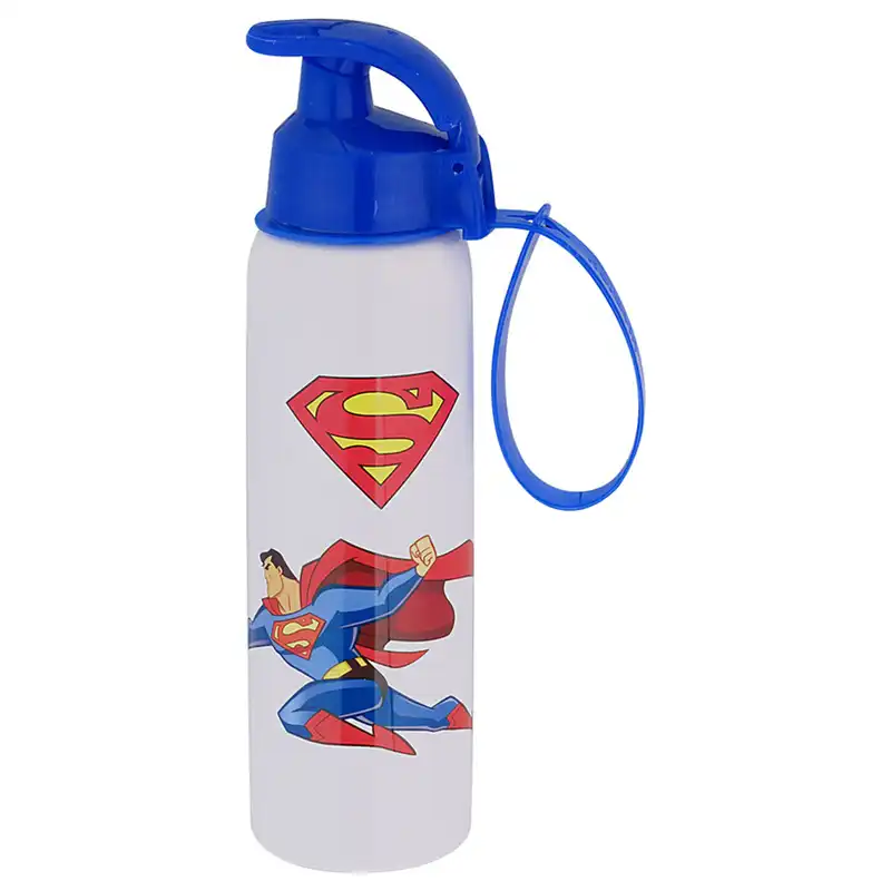 قمقمه هروین مدل Disney کد 041 گنجایش 0.5 لیتر