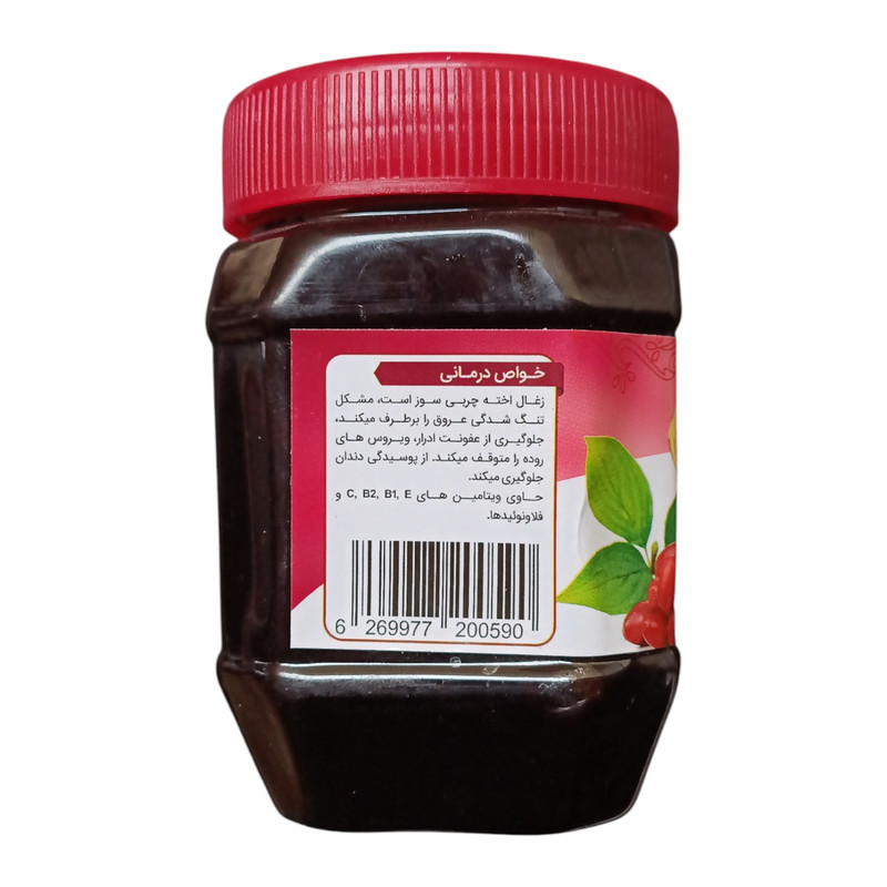 رب زغال اخته سنتی جالینوس - 450 گرم بسته 3 عددی