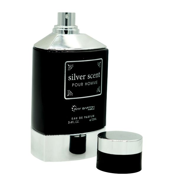 ادوپرفیوم مردانه ری بارتون مدل  SILVER SCENT حجم 100 میلی لیتر -  - 3