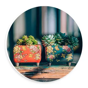 دیوارکوب طرح گلدان های کاکتوس مدل wtb473