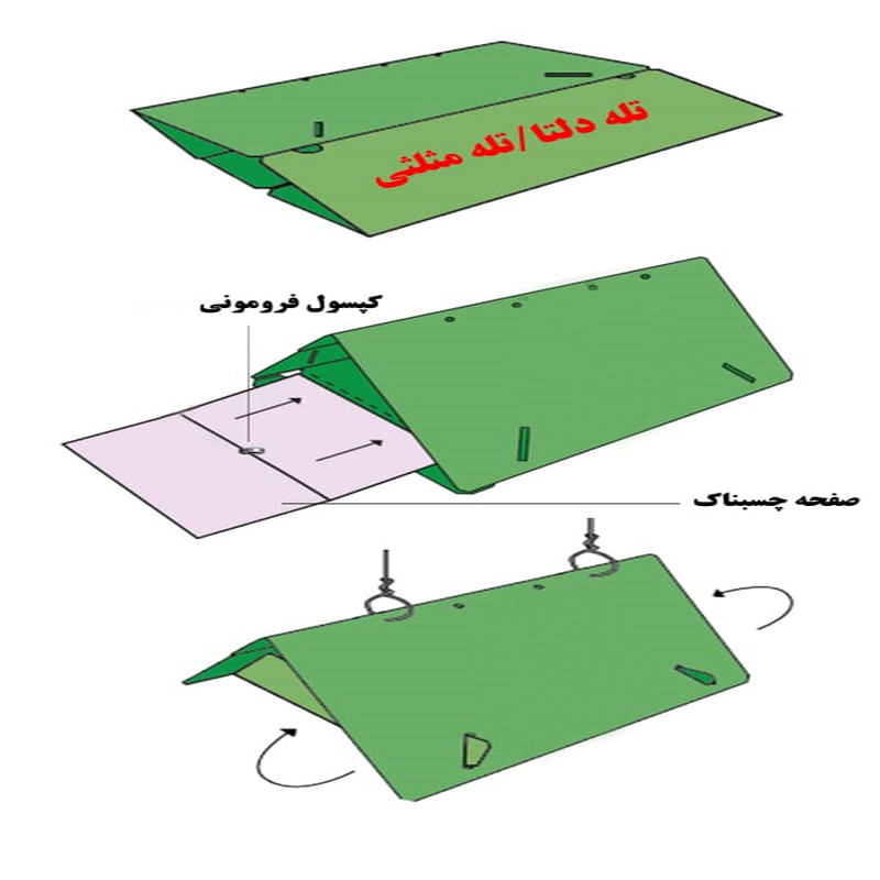 تله حشره گیر مدل دلتا همراه با چسب