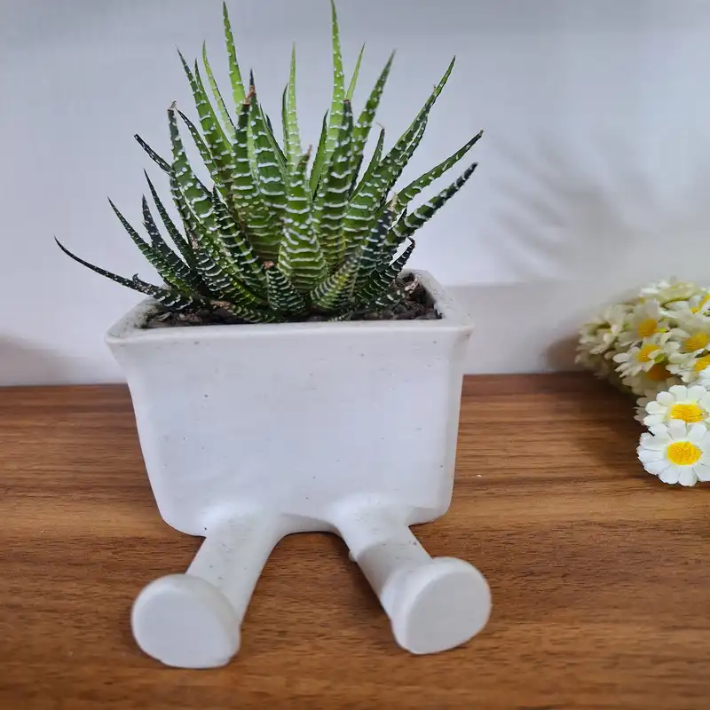 گلدان دکوری سنگی طرح پا دراز