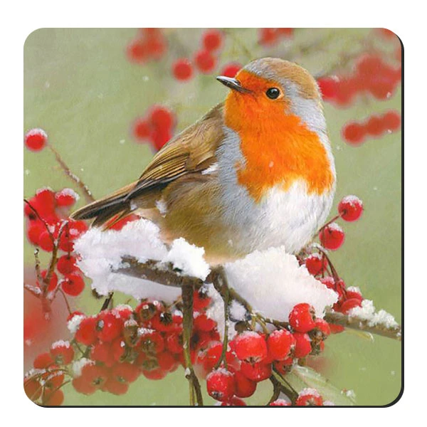 زیر لیوانی طرح پرنده و برف کد nzl494