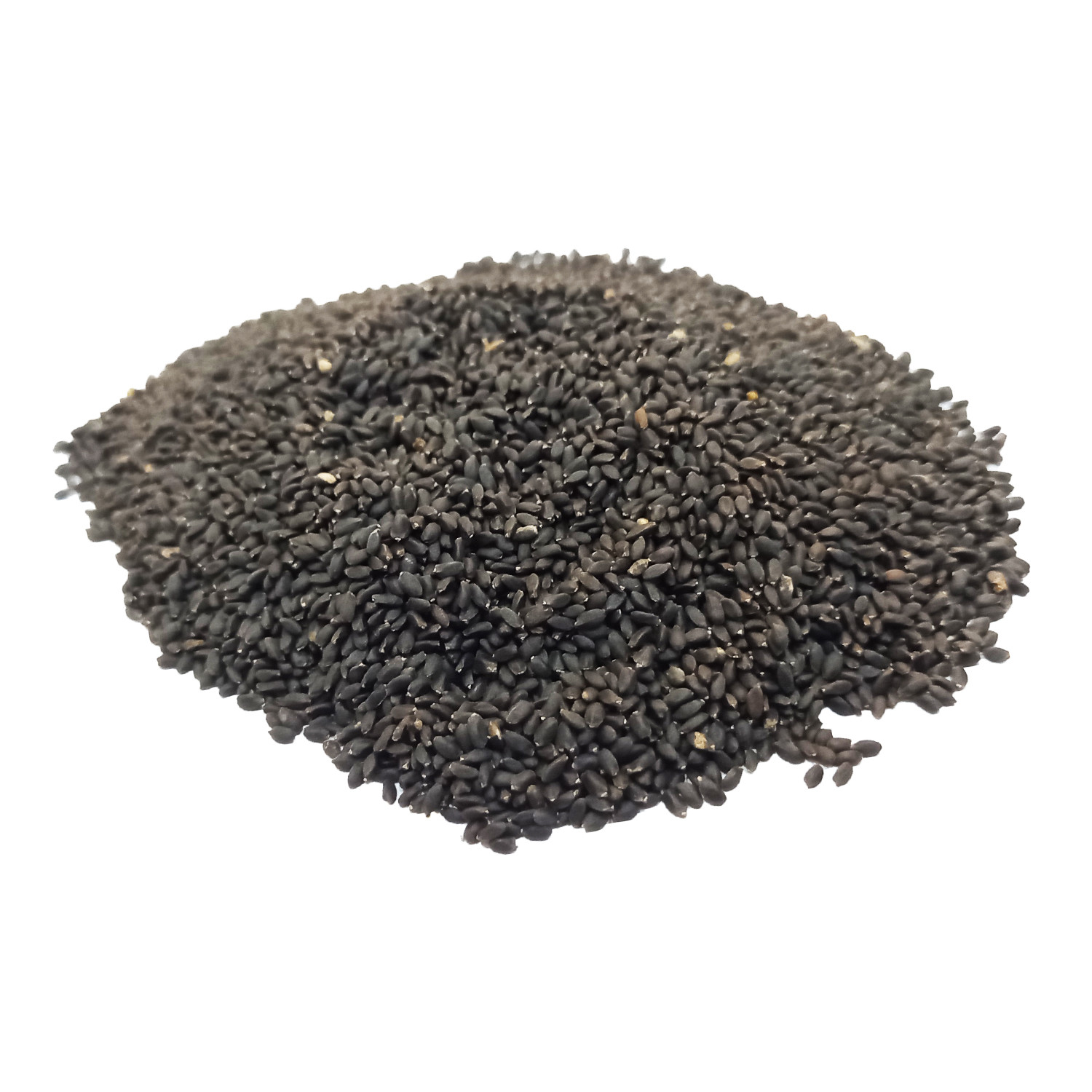 بذر ریحان سبز هپی پلنت مدل HP201 بذر ریحان سبز هپی پلنت مدل HP201