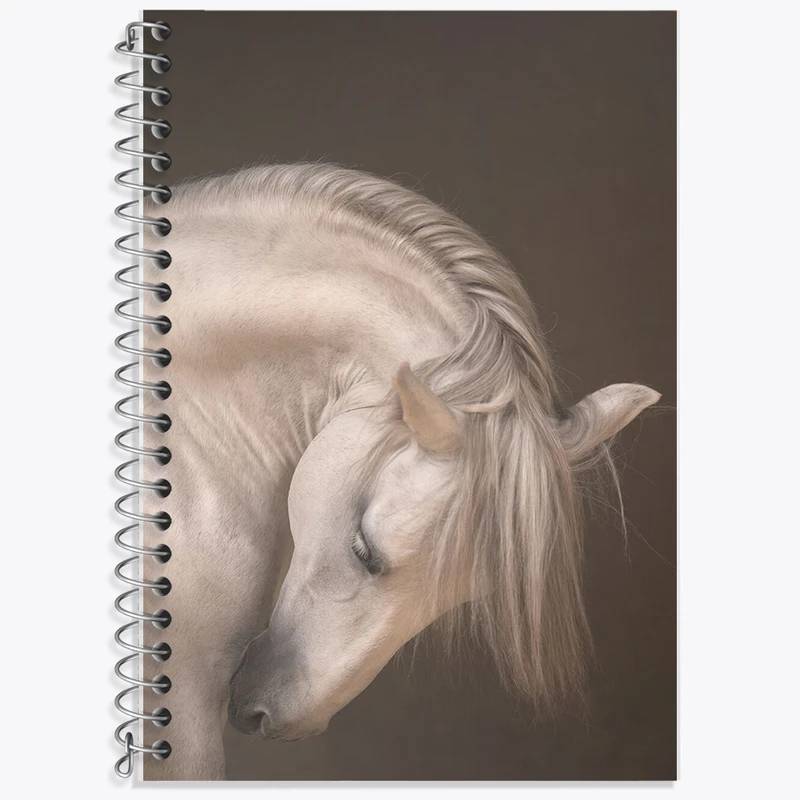 دفتر زبان 50 برگ خندالو مدل سه خط طرح اسب کد F1088