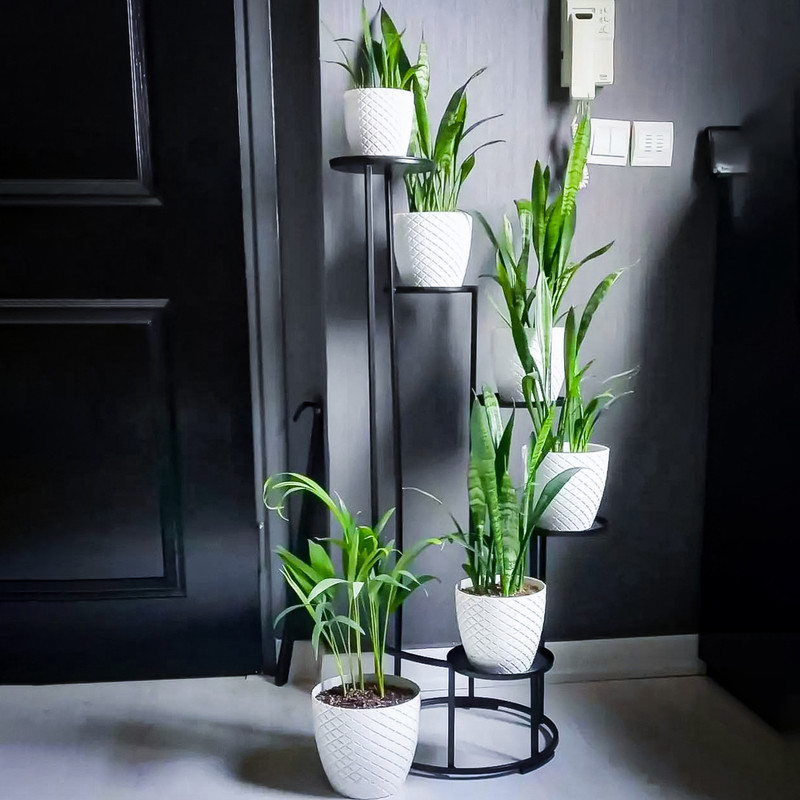 استند گلدان مدل پیچک