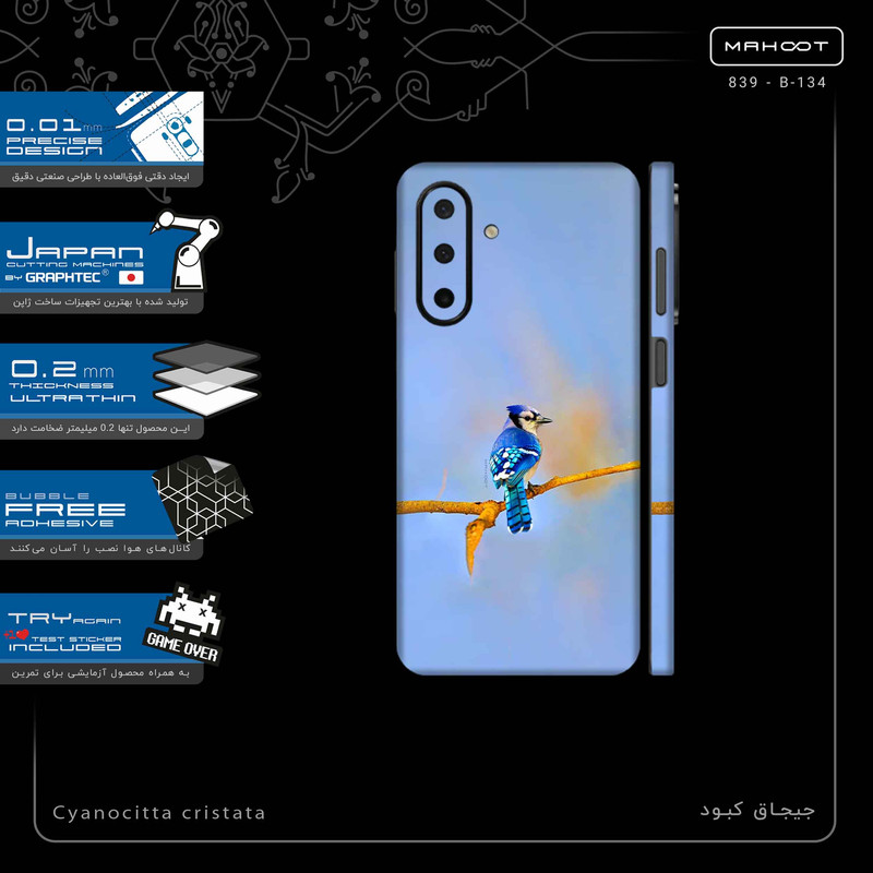 برچسب پوششی ماهوت مدل Cyanocitta cristata-FullSkin مناسب برای گوشی موبایل سامسونگ Galaxy A26