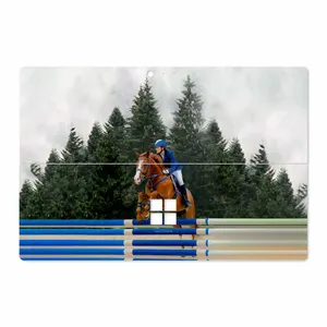 MAHOOT Equestrianism Cover Sticker for Microsoft Surface Pro 4 2015