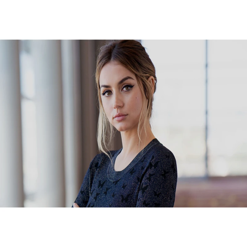 تابلو شاسی مدل بازیگر آنا د آرماس  T6324