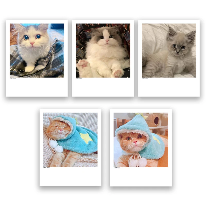 آویز تزیینی عرش مدل فانتزی گربه بامزه کد Asa306 مجموعه پنچ عددی