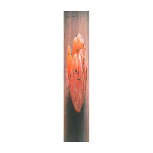 نشانگر کتاب مشایخ طرح نارنگی کد N103