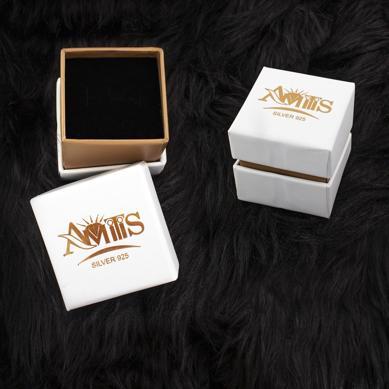 گوشواره نقره زنانه آمیتیس مدل AMT-G026