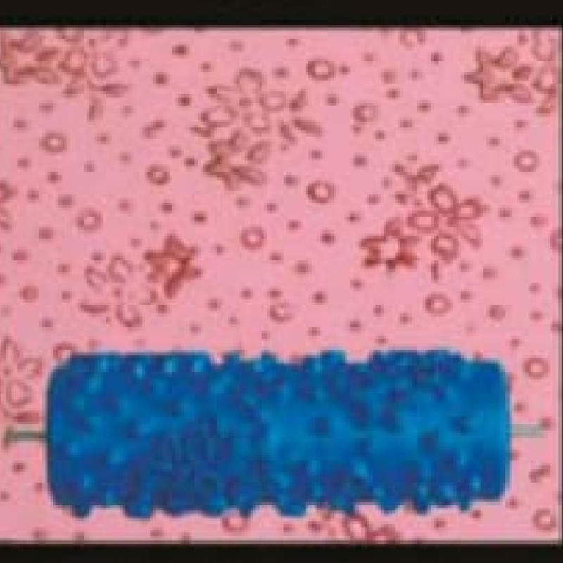 غلتک نقاشی مدل طرح دار کد Y069 سایز 6 اینچ