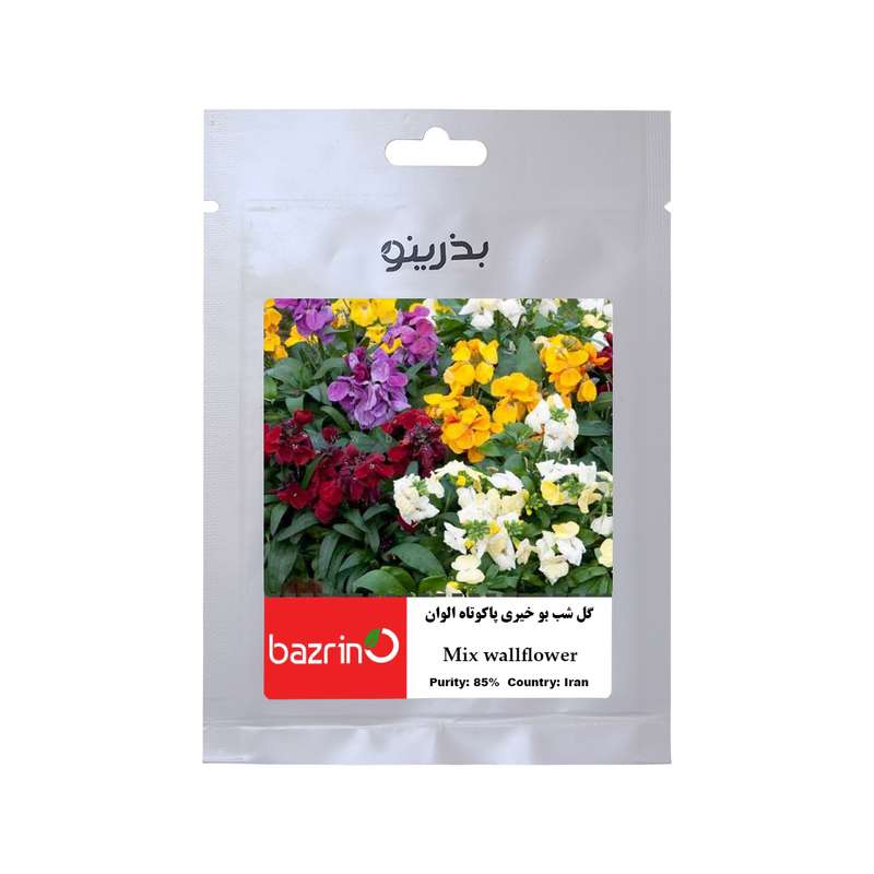 بذر گل شب بو خیری پاکوتاه الوان بذرینو کد B-047