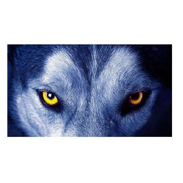 دستمال عینک مدل نانو طرح گرگ