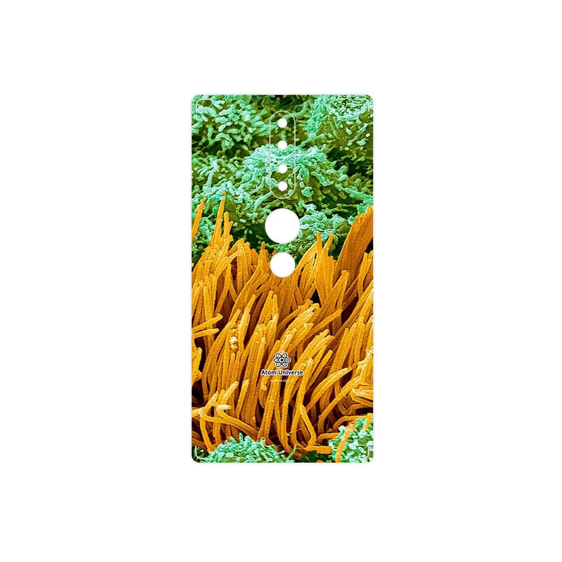 برچسب پوششی ماهوت مدل Atom Universe 6 مناسب برای گوشی موبایل لنوو Phab2 Pro