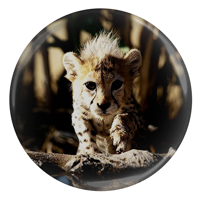 مگنت مدل S12691 طرح پیروز یوزپلنگ ایران