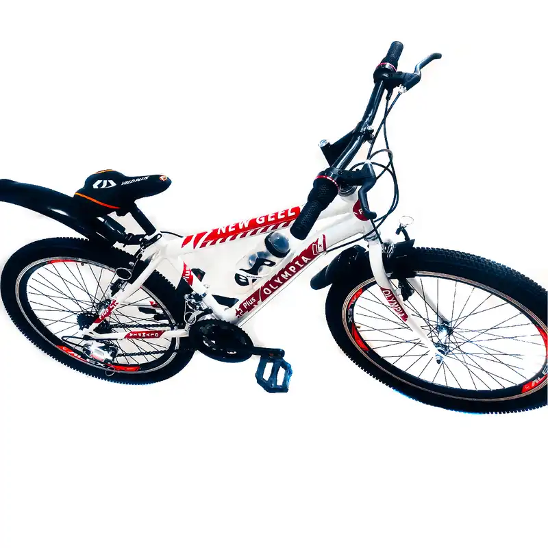 دوچرخه کوهستان المپیا مدل new Q300 سایز طوقه 24