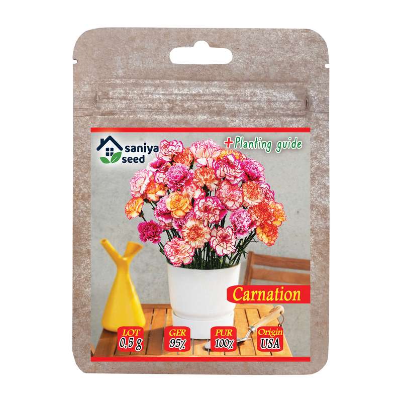 بذر گل میخک الوان سانیا سید مدل ss16