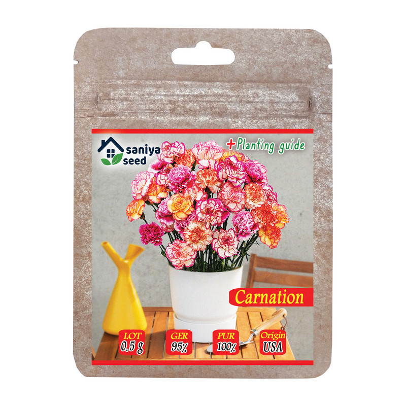 بذر گل میخک الوان سانیا سید مدل ss16