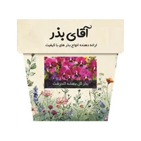 بذر گل بنفشه گلدرشت آقای بذر مدل الوان