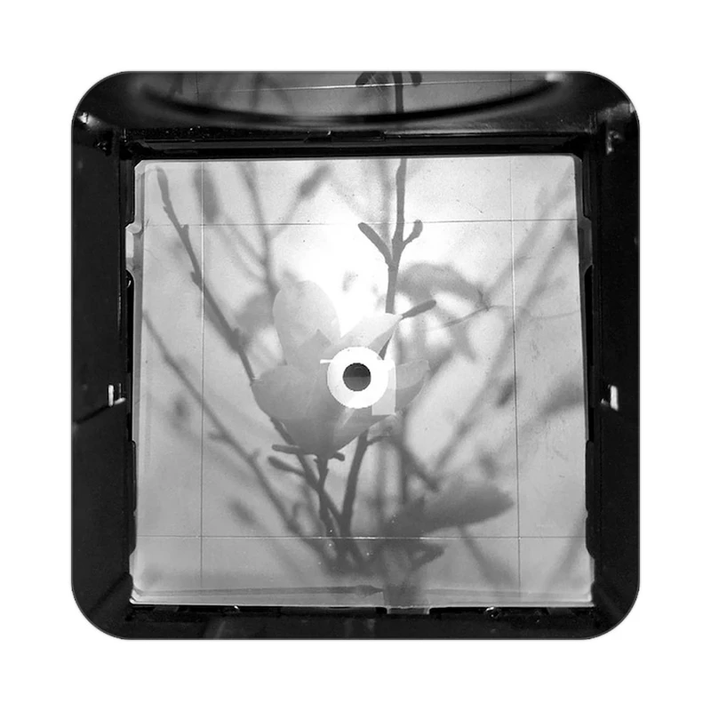 زیر لیوانی کاکتی طرح گل مدل mp16427